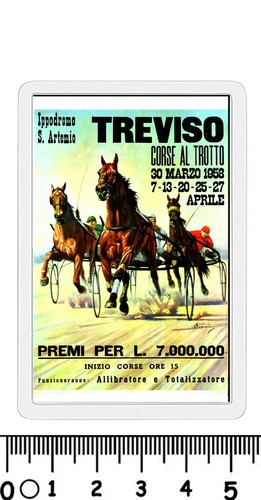 Calamita treviso ippodromo - treviso,