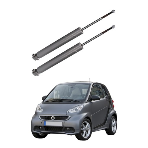 Set coppia ammortizzatori - set,