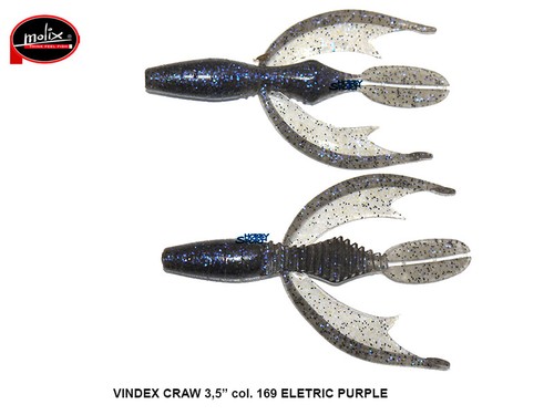 Molix vindex craw - craw, col