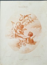 ANTICA STAMPA COLORI 1901