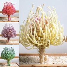 Pianta Artificiale Casa PVC