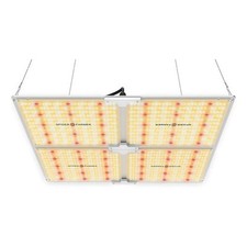 Spider Farmer SF4000 LED luce