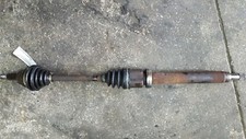 SEMIASSE SEMIALBERO ANT DX