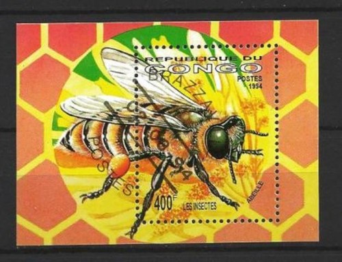 Animali insetti api - api, 1994