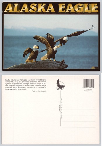 Cartolina fotocromatica alaska - cartolina,