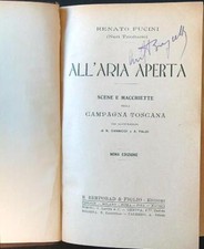 ALL'ARIA APERTA FUCINI RENATO