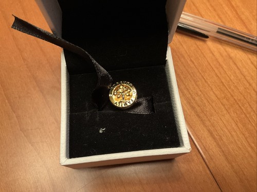 Charm pandora oro - in,