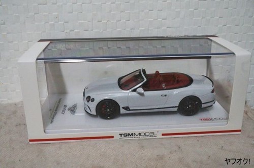 Mini auto tsm model - model, bentley
