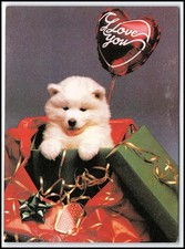 Vintage Cucciolo Cane Ti Amo