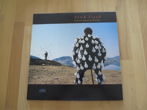 Pink floyd vinyl aus sammlung - floyd,