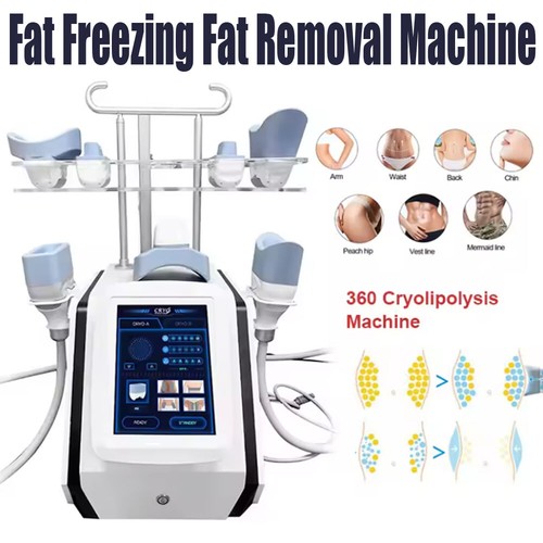 Congelamento grassi corpo - congelamento,