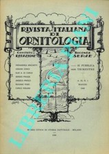 R.I.O. - Rivista Italiana di