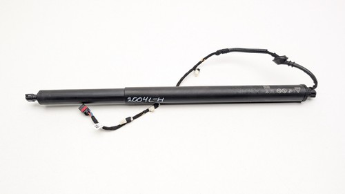 Puntone portellone elettrico - portellone,