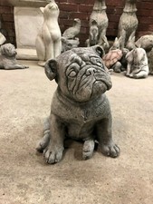 Statua cane cucciolo Bulldog