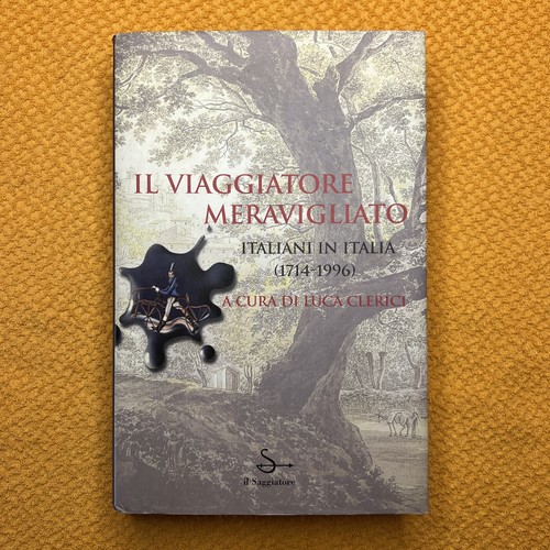 Viaggiatore meravigliato - viaggiatore,