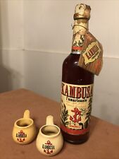 Kambusa l’amaricante Liquore Dolce Bonomelli 0.75 Lt 32% e 2 Pipette