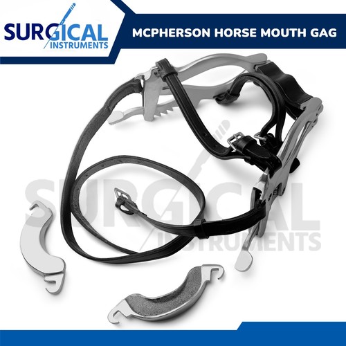 Speculum dentale equino