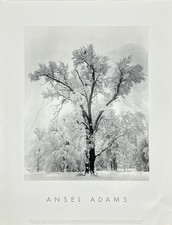 Stampa fotografica Ansel Adams