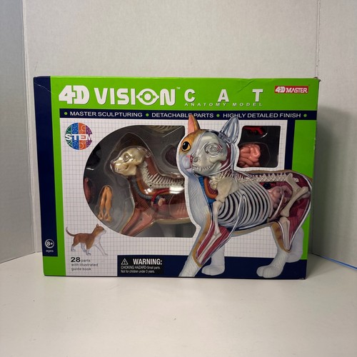 Modello master vision cat - 4d,