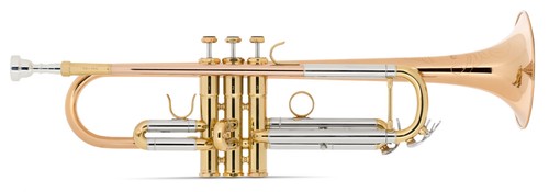 Tromba sib bronzo fosforoso - in,