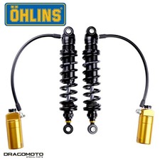 Ammortizzatore Harley FLTRXS