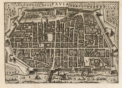 Pavia