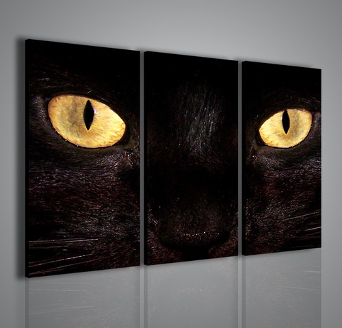 Quadri moderni black cat - quadri,