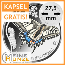 Moneta 5 euro CODA DI RONDINE