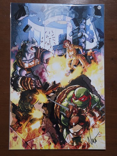 Teenage mutant ninja - teenage,