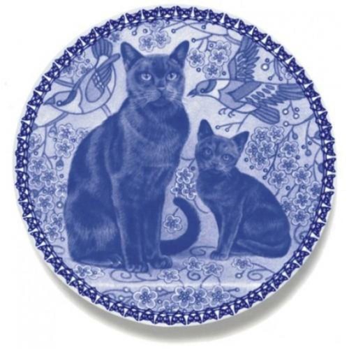 Birmano piatto per gatti - per,