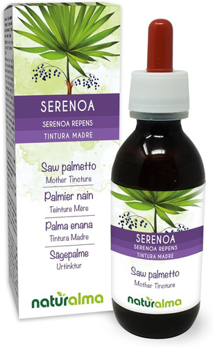 Serenoa palma nana - o, (serenoa