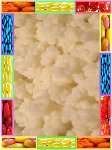 Kefir lait g grains - 20,