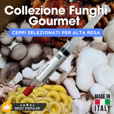 Micelio Professionale Funghi