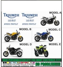 ADESIVI 1050 SPEED TRIPLE 2005