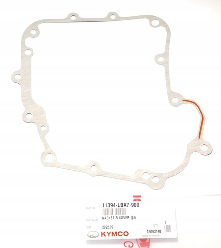 Guarnizione coperchio motore