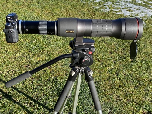 Nikon fieldscope d85p zoom - nikon,