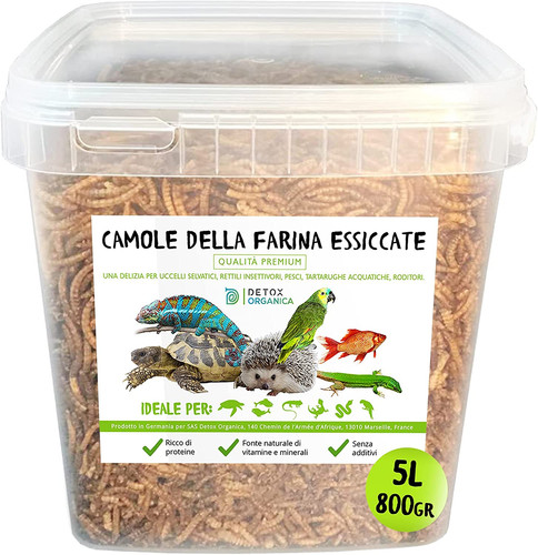 Camole della farina essiccate - camole,