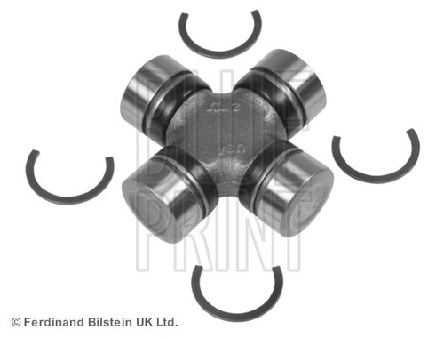 Blue print albero - print,