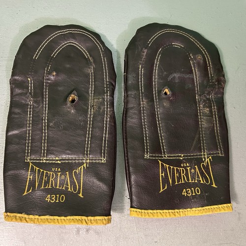 Guantoni boxe everlast - guantoni,