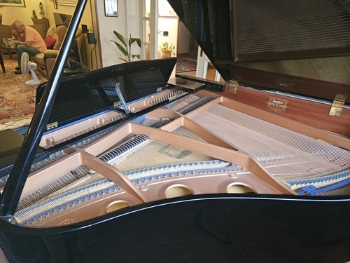Pianoforte mezzacoda - pianoforte,