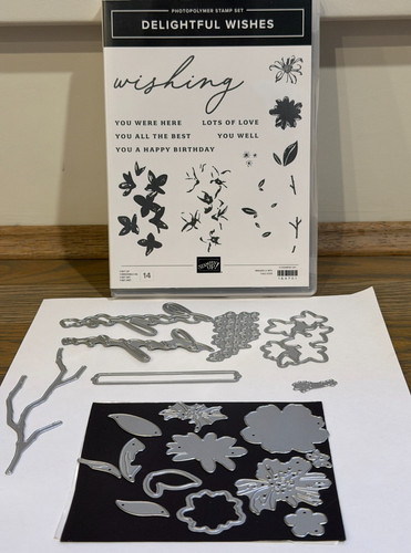 Stampin raro set di - stampin, up