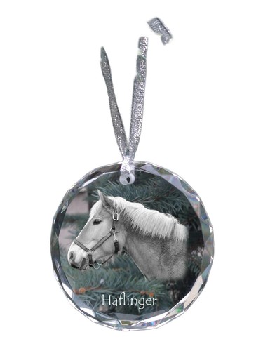 Haflinger medaglia - , di