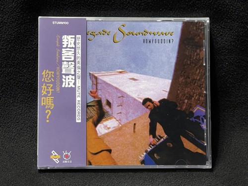 Renegade soundwave howyoudoin - renegade,