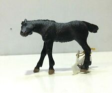 ANIMALI ANIMALS PAPO PULEDRO