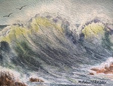WAVES LAGUNA BEACH BIRDS