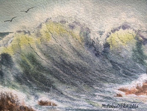 Waves laguna beach - beach, birds
