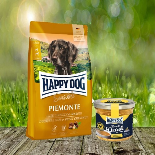 Happy dog sensible piemonte - happy,