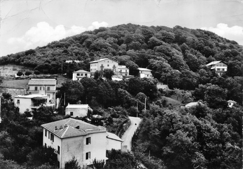 Al12 allumiere faggetto - al12-8b),