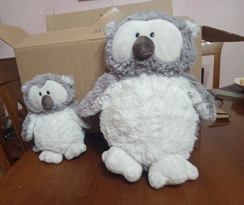 Nici happy winter - nici,