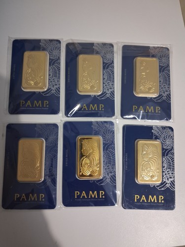 Pamp suisse lingotti - 6x,